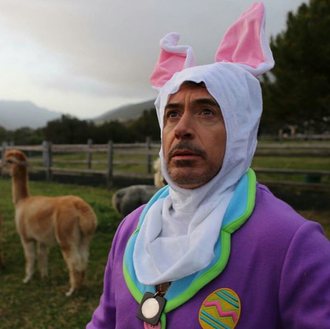 Роберт Дауни-младший в костюме кролика
