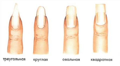 Форма ногтей и характер