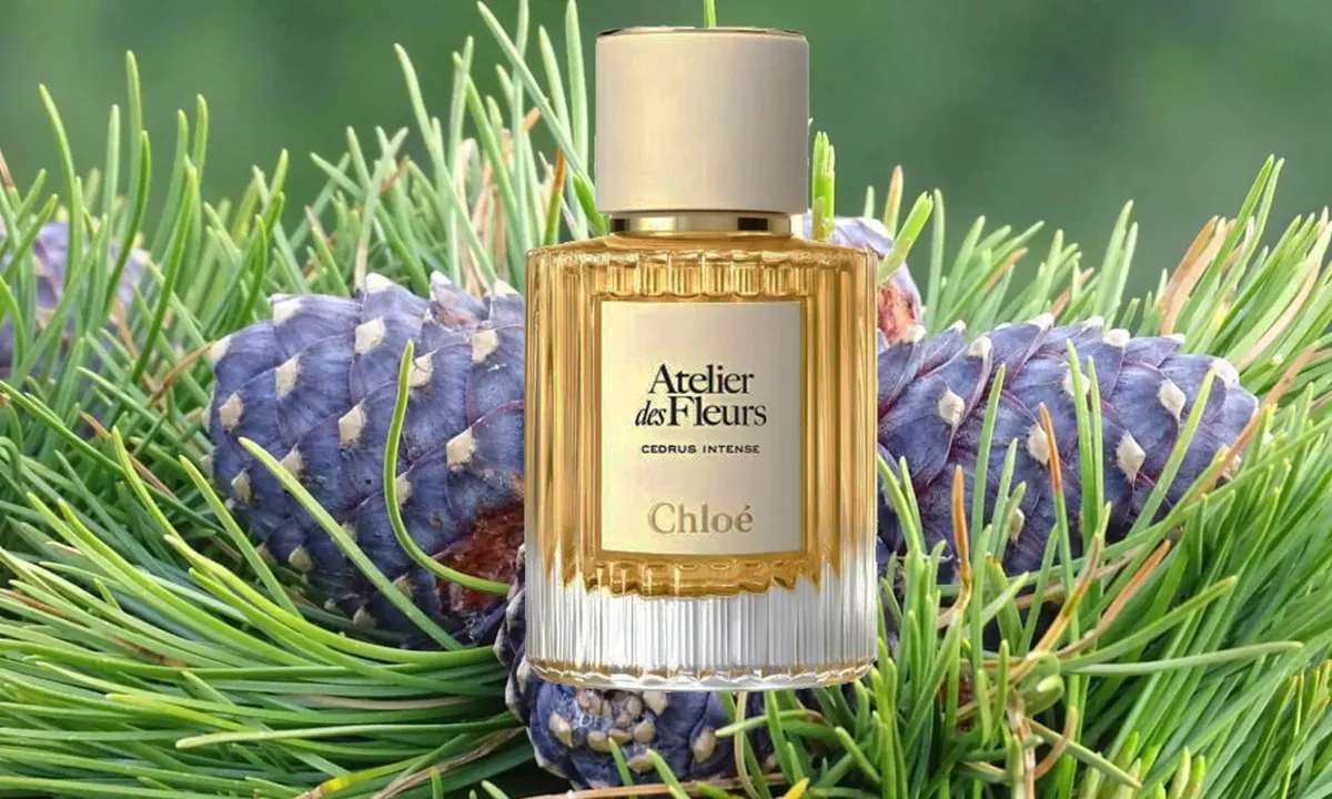 Cedrus від Chloé: аромат, що переносить у сонячний ліс посеред осені
