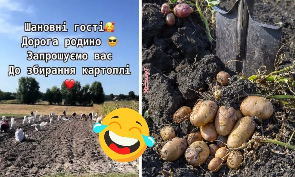 Копаємо картоплю з гумором: жарти, які допоможуть пережити сезон