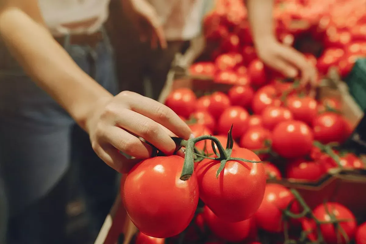 Як перевірити продукти вдома на бактерії та пестициди: новий сенсор