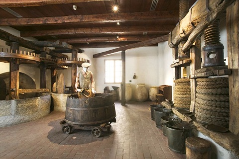 Музей оливкового масла 