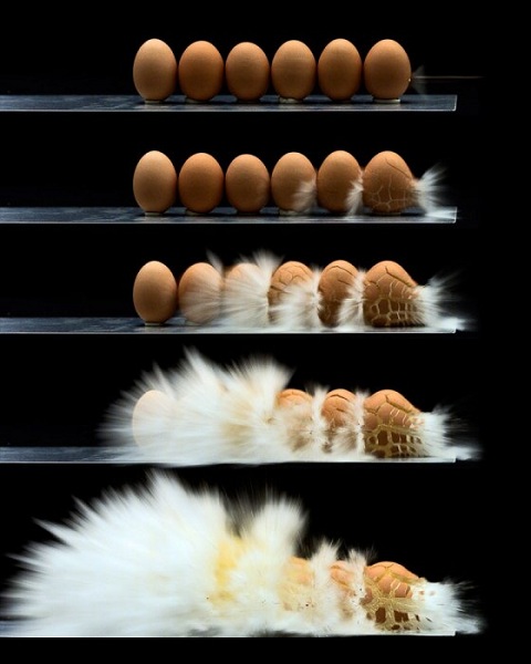 Взрывающиеся яйца