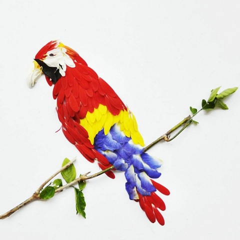 Цветочные птицы